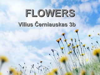 FLOWERS
Vilius Černiauskas 3b

 