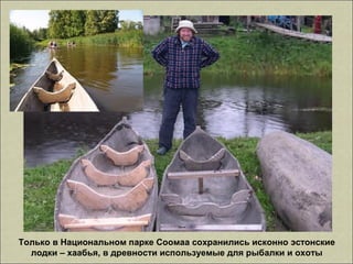 Только в Национальном парке Соомаа сохранились исконно эстонские
лодки – хаабья, в древности используемые для рыбалки и охоты
 
