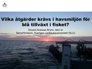 Vilka åtgärder krävs i havsmiljön för 
blå tillväxt i fisket? 
Docent Andreas Bryhn, tekn dr 
Seniorforskare, Sveriges Lantbruksuniversitet (SLU) 
 