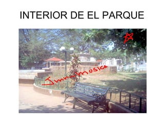 INTERIOR DE EL PARQUE