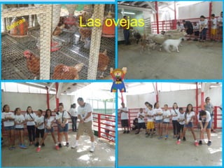 Villa campestre 11 junio