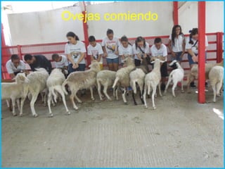 Villa campestre 11 junio