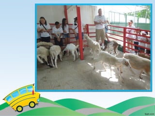 Villa campestre 11 junio