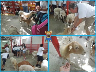 Villa campestre 11 junio