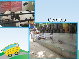 Villa campestre 11 junio