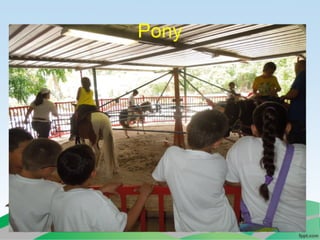 Villa campestre 11 junio