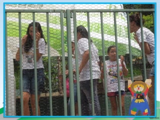 Villa campestre 11 junio