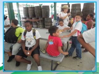 Villa campestre 11 junio