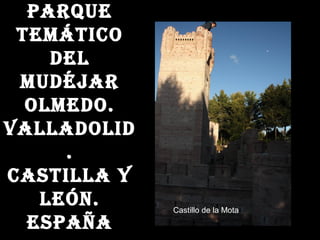 Parque
TemáTico
del
mudéjar
olmedo.
Valladolid
.
casTilla y
león.
esPaña
Castillo de la Mota
 