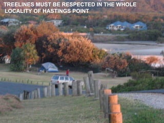 Predominant Building Type How Residents and Visitors want Hastings Point to remain! Protect our treelines.  North and South TREELINES MUST BE RESPECTED IN THE WHOLE    LOCALITY OF HASTINGS POINT 