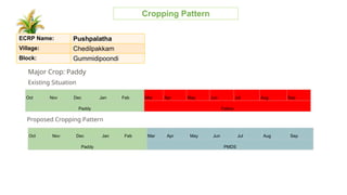 Village cropping pattern for croping and working | PPTX