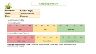Village cropping pattern for croping and working | PPTX