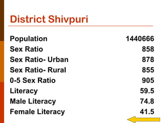 District Shivpuri
Population          1440666
Sex Ratio               858
Sex Ratio- Urban        878
Sex Ratio- Rural        855
0-5 Sex Ratio           905
Literacy                59.5
Male Literacy           74.8
Female Literacy         41.5
 