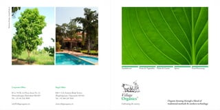Village organics brochure