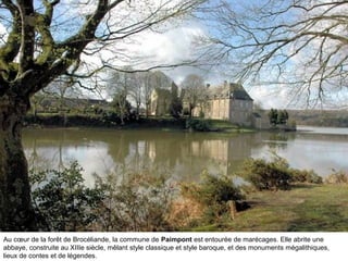 Au cœur de la forêt de Brocéliande, la commune de Paimpont est entourée de marécages. Elle abrite une
abbaye, construite au XIIIe siècle, mêlant style classique et style baroque, et des monuments mégalithiques,
lieux de contes et de légendes.

 