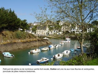 Petit port de pêche où de nombreux yachts font escale, Doëlan est une ria aux rives fleuries et verdoyantes,
ponctuée de jolies maisons bretonnes.
 