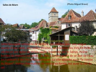 cette bourgade entourée de verdure, est célèbre pour son unique
source d’eau salée, ses ruelles étroites, ses maisons des XVIe et XVIIe
siècles et son église du XVIIIe siècle. Traversée par le Saleys, rivière
bordée de maisons sur pilotis, la ville a su tirer profit de ce don de l’eau
en l’utilisant à des fins thérapeutiques. La ville appelée aussi "la Venise
du Béarn", station thermale et de remise en forme, est aussi la cité du
sel.
Salies de Béarn (Photo Miguel Bravo)
 