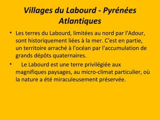 Villages du Labourd - Pyrénées
Atlantiques
• Les terres du Labourd, limitées au nord par l'Adour,
sont historiquement liées à la mer. C'est en partie,
un territoire arraché à l'océan par l'accumulation de
grands dépôts quaternaires.
• Le Labourd est une terre privilégiée aux
magnifiques paysages, au micro-climat particulier, où
la nature a été miraculeusement préservée.
 