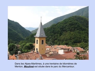 Dans les Alpes-Maritimes, à une trentaine de kilomètres de
Menton, Moulinet est située dans le parc du Mercantour.

 
