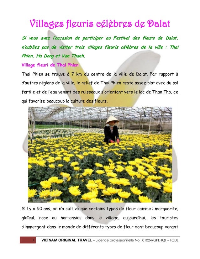 Villages Fleuris Célèbres De Dalat