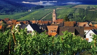 Riquewihr (Haut-Rhin)
 