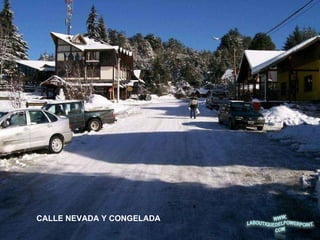 CALLE NEVADA Y CONGELADA 