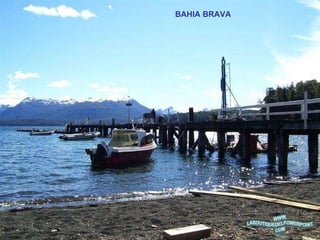 BAHIA BRAVA 
