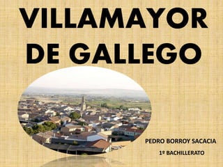 VILLAMAYOR 
DE GALLEGO 
PEDRO BORROY SACACIA 
1º BACHILLERATO 
 