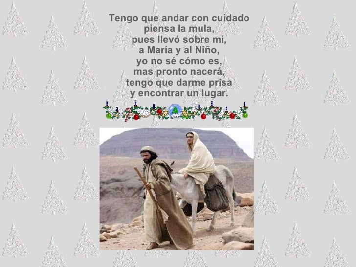 Villancico la mula