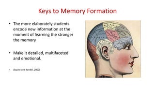 Keys to Memory Formation
• The more elaborately students
encode new information at the
moment of learning the stronger
the...
