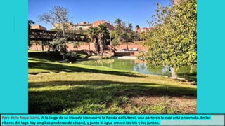 Parc de la Nova Icária. A lo largo de su trazado transcurre la Ronda del Litoral, una parte de la cual está enterrada. En las
riberas del lago hay amplias praderas de césped, y junto al agua crecen los iris y los juncos.
 