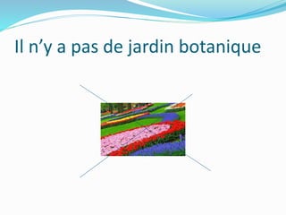 Il n’y a pas de jardin botanique