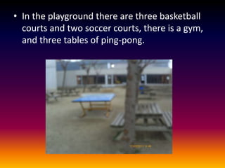 In the playground there are three basketball courts and two soccer courts, there is a gym, and three tables of ping-pong.