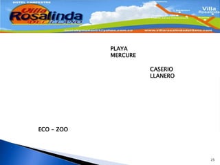 25PLAYA MERCURECASERIO LLANEROECO - ZOO