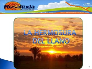 6LA HERMOSURA DEL LLANO
