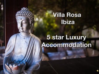 Villa Rosa
Ibiza

5 star Luxury
Accommodation

 