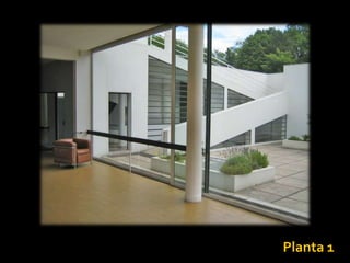 Planta 1
 