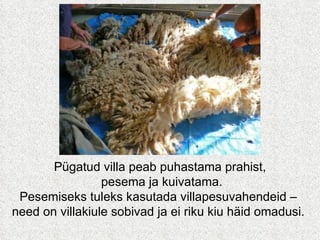 . Pügatud villa peab puhastama prahist, pesema ja kuivatama. Pesemiseks tuleks kasutada villapesuvahendeid –  need on villakiule sobivad ja ei riku kiu häid omadusi.  