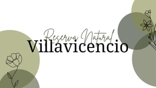 Villavicencio
 