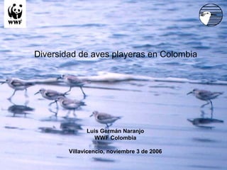Luis Germán Naranjo
WWF Colombia
Villavicencio, noviembre 3 de 2006
Diversidad de aves playeras en Colombia
 
