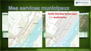 ArcGIS Tiled Map Service Layer
ArcGIS Online
 