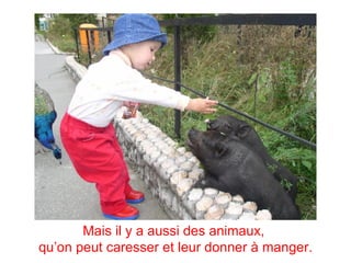 Mais il y a aussi des animaux,
qu’on peut caresser et leur donner à manger.
 