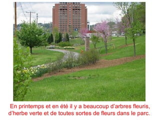 En printemps et en été il y a beaucoup d’arbres fleuris,
d’herbe verte et de toutes sortes de fleurs dans le parc.
 