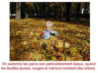 En automne les parcs son particulièrement beaux, quand
les feuilles jaunes, rouges et marrons tombent des arbres.
 