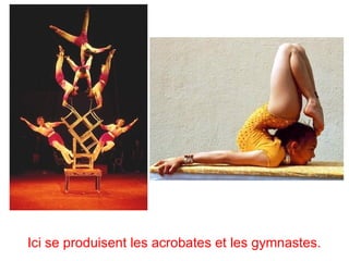 Ici se produisent les acrobates et les gymnastes.
 