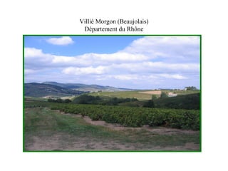 Villié Morgon (Beaujolais) 
Département du Rhône 
 