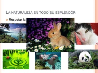 LA NATURALEZA EN TODO SU ESPLENDOR
   Respetar la naturaleza
 