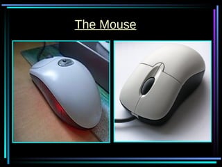 The Mouse 