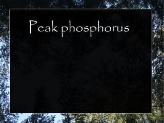 Peak phosphorus
 
