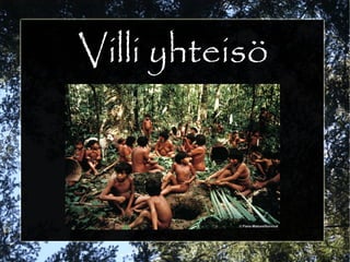 Villi yhteisö
 